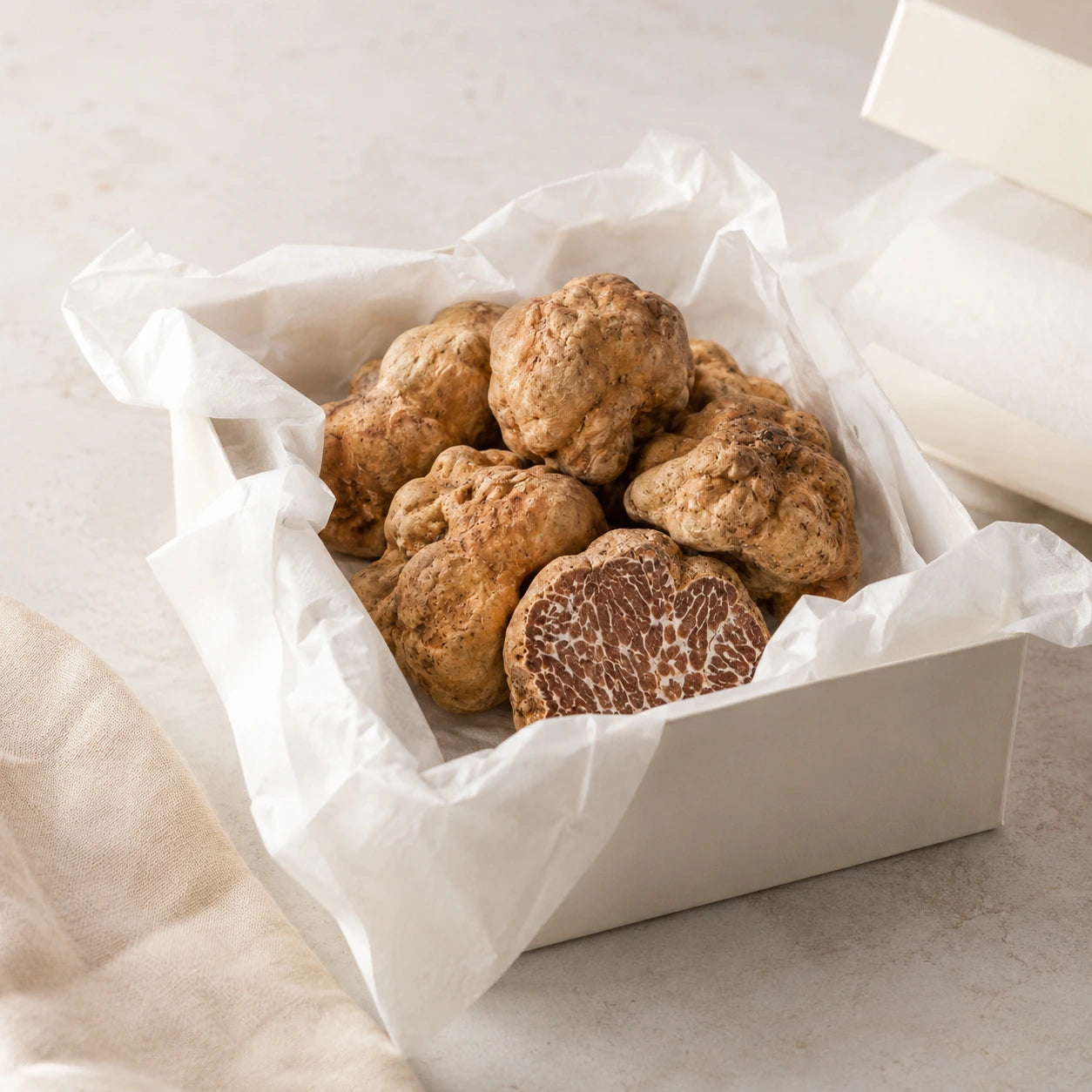 Tartufo Bianchetto – Tuber borchii