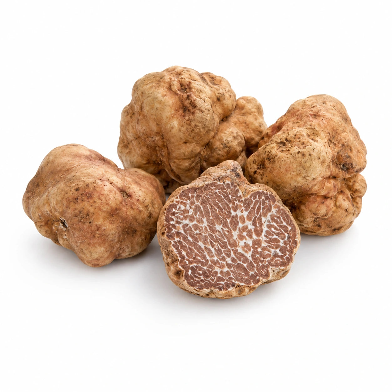 Tartufo Bianchetto – Tuber borchii