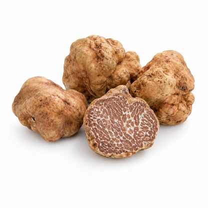 Tartufo Bianchetto – Tuber borchii