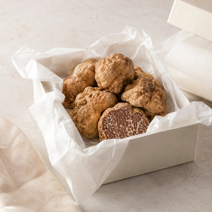 Tartufo Bianchetto – Tuber borchii