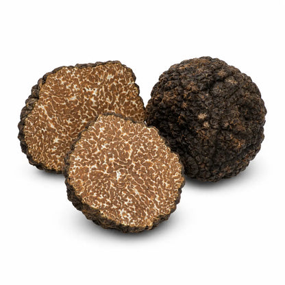 Black Autumn Truffle (Tuber uncinatum)