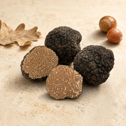 Black Autumn Truffle (Tuber uncinatum)