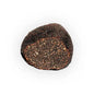 Tartufo Bianchetto – Tuber borchii
